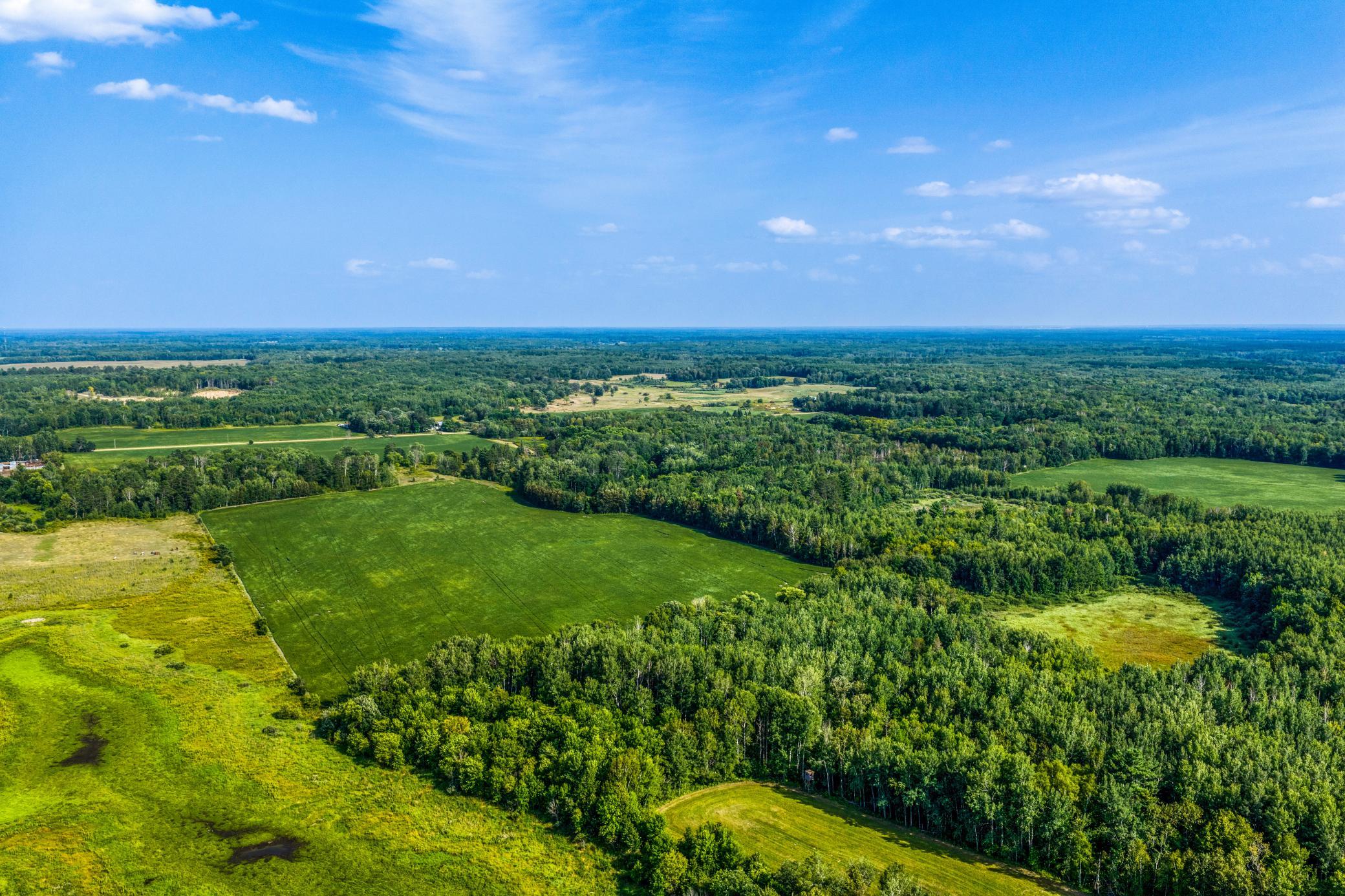 2 Fields and Wooded Acreage.jpg