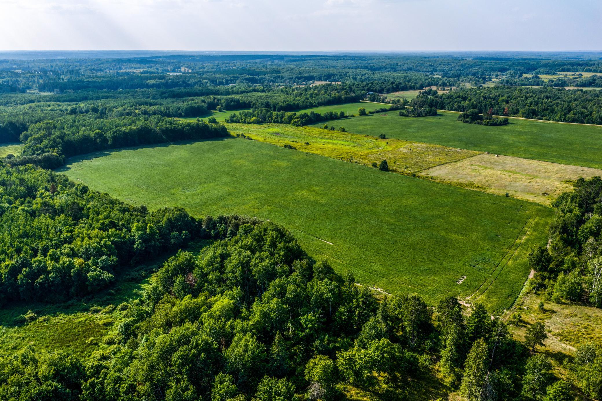 Field #2.jpg