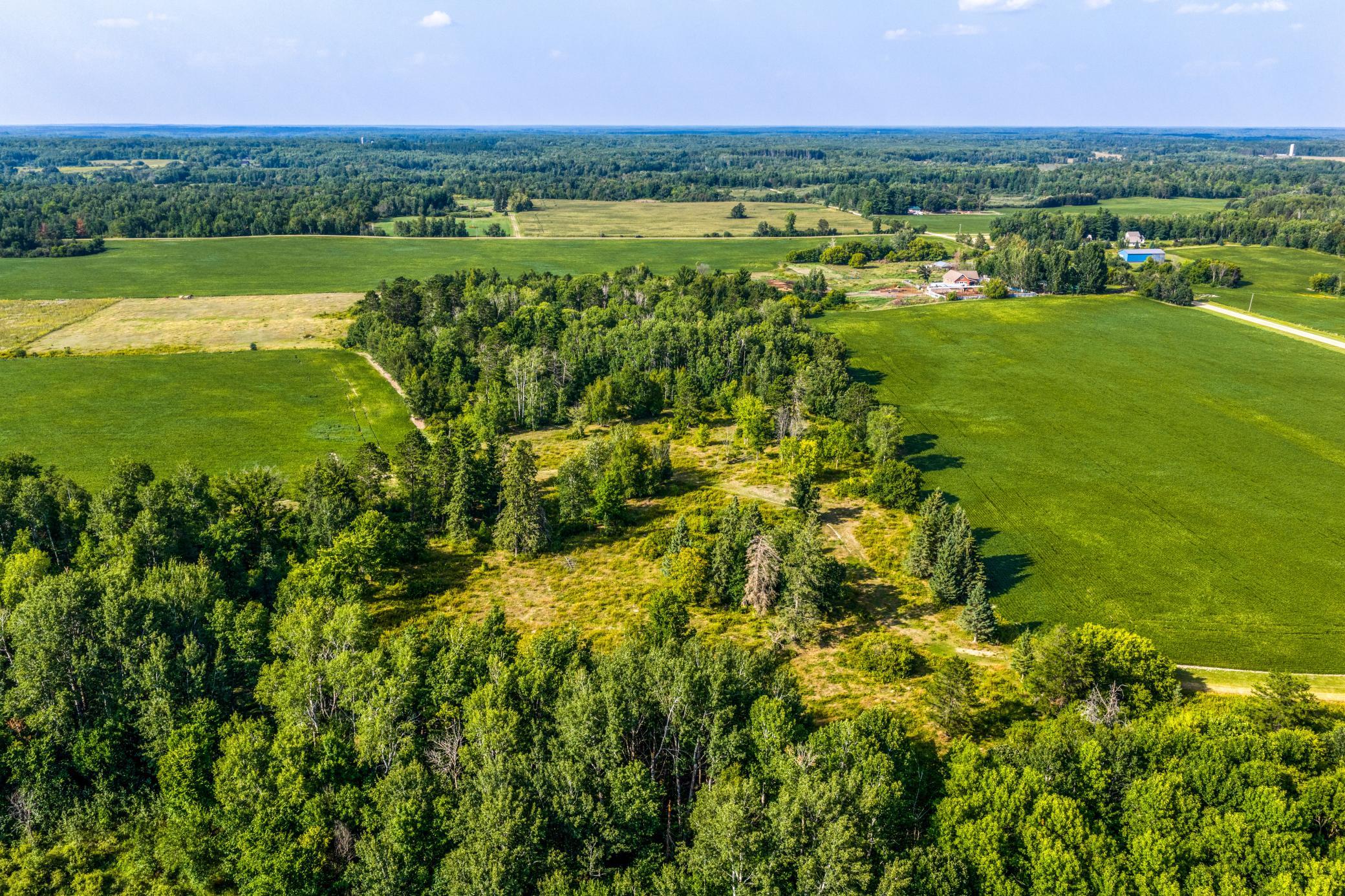 Field #1 & Field #2.jpg