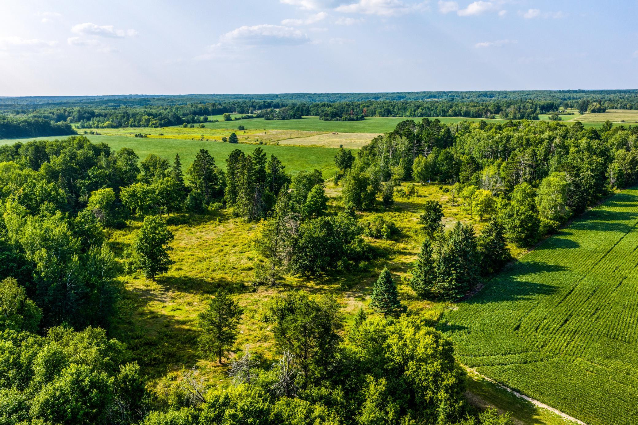 Mix of Open & Wooded.jpg