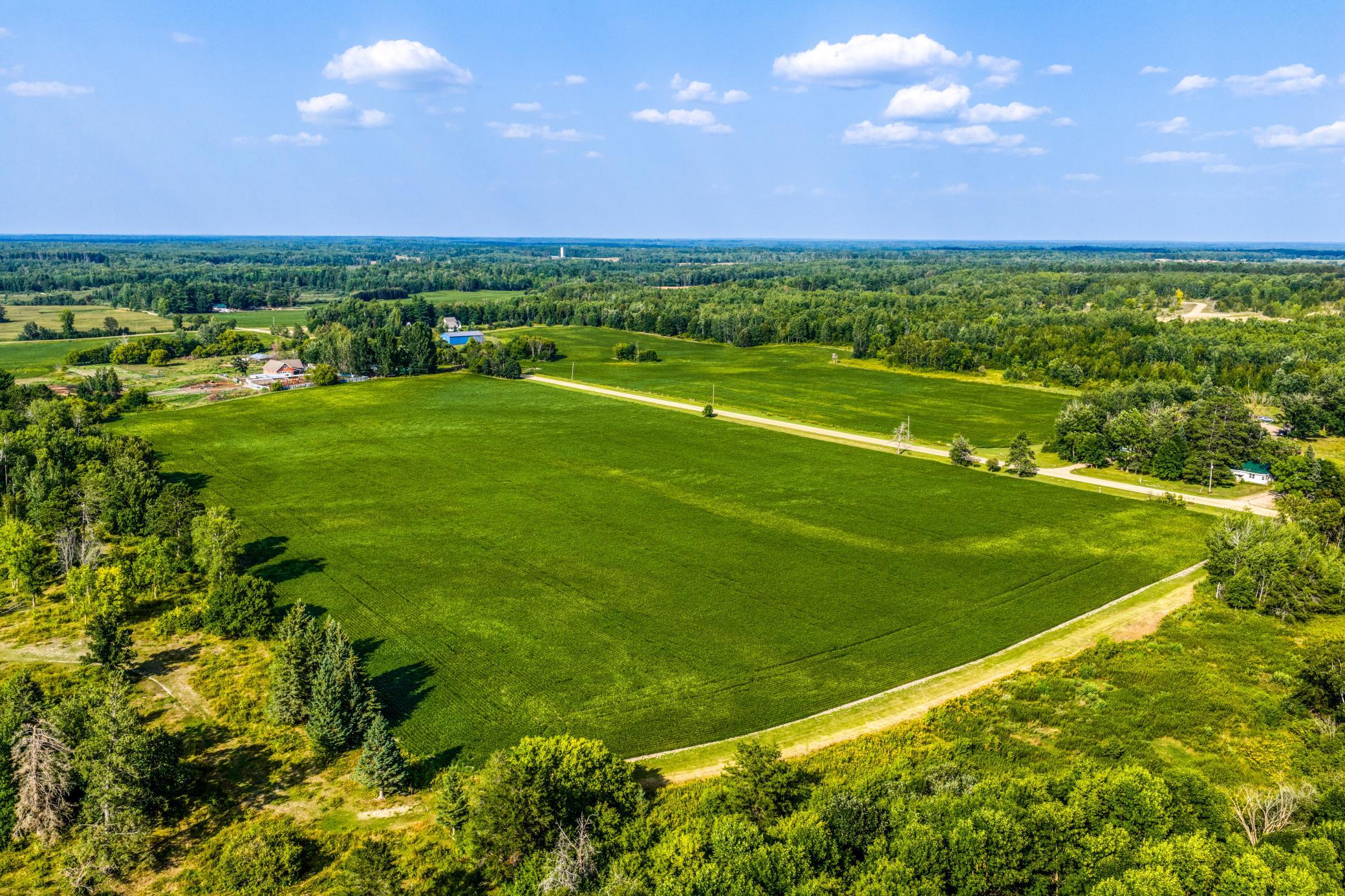 Field #1.jpg