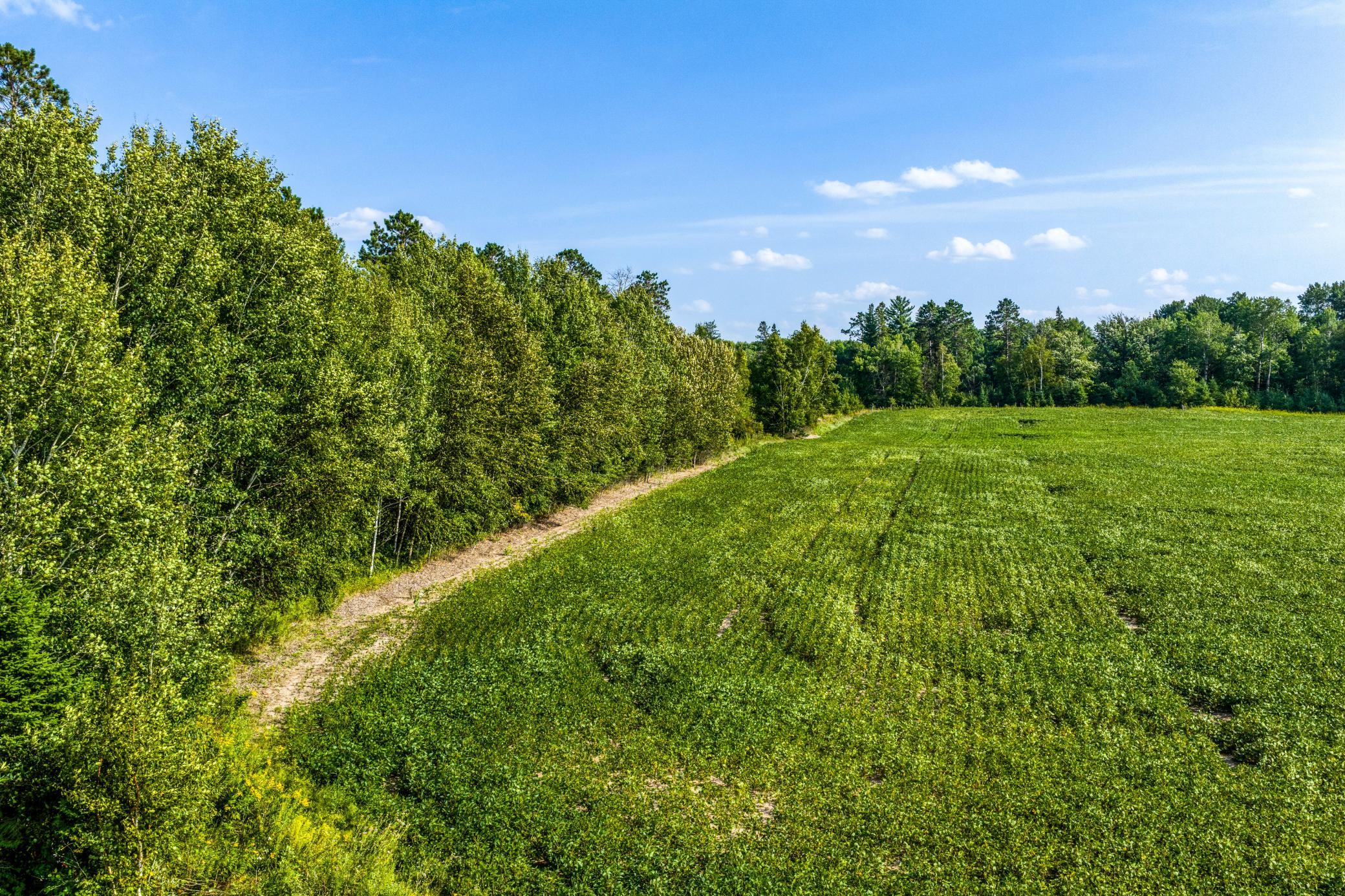 Field #2.jpg