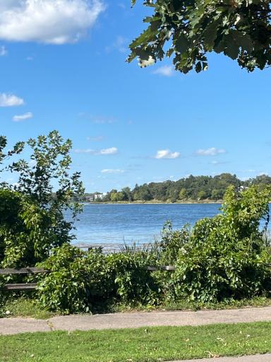 Nearby Lake Phalen, perfect for walking, biking or swimming. Get ready for next year!!