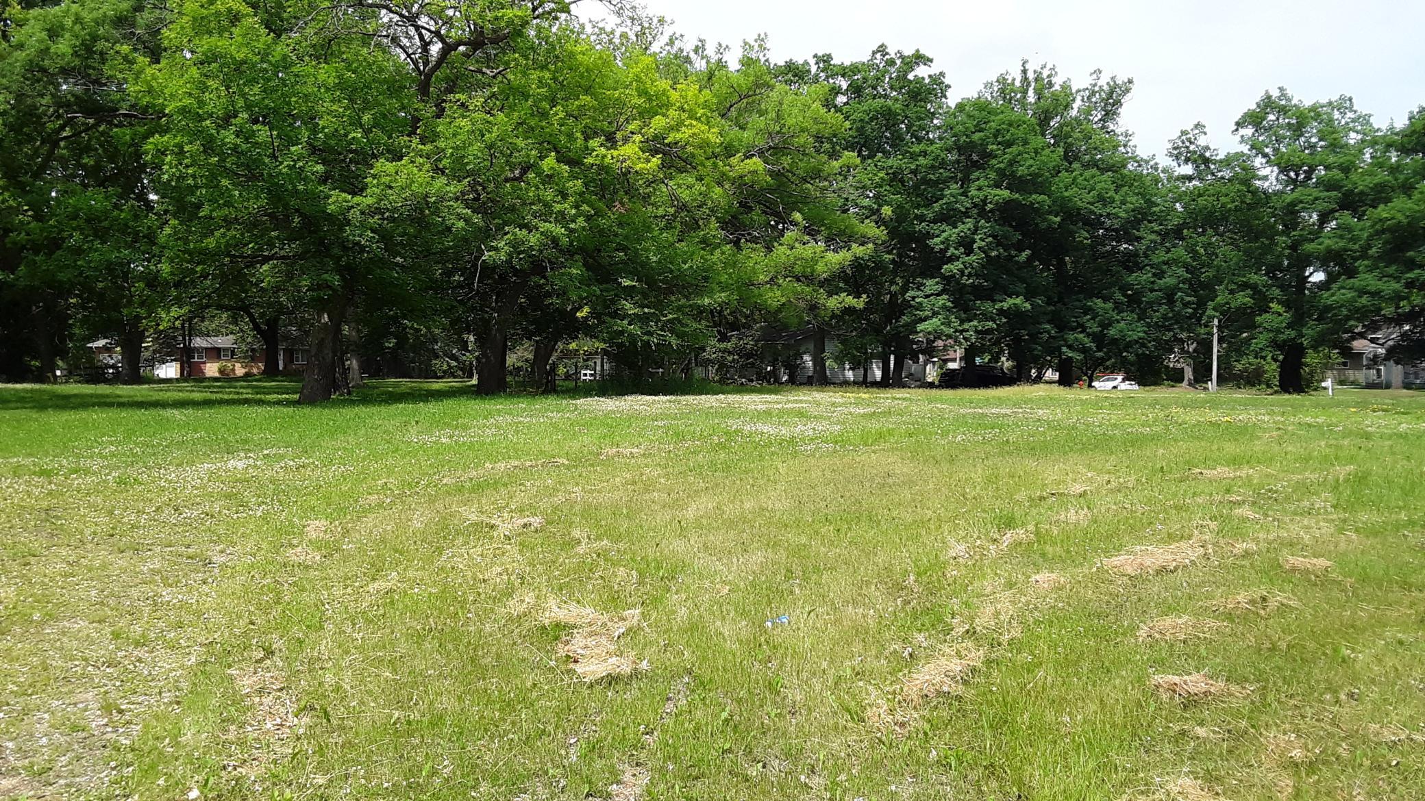 20260608_145634.jpg