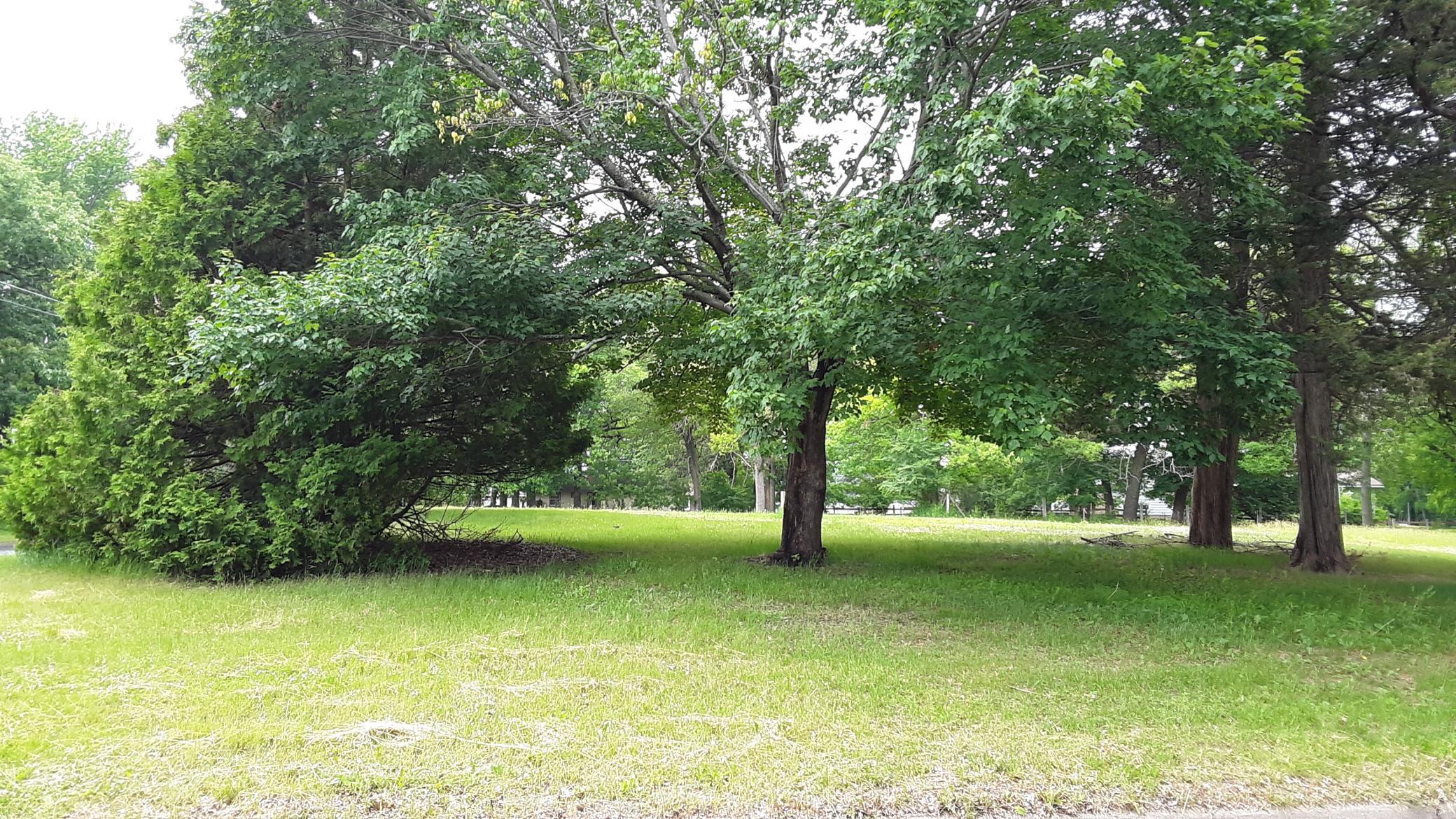 20260608_140237.jpg