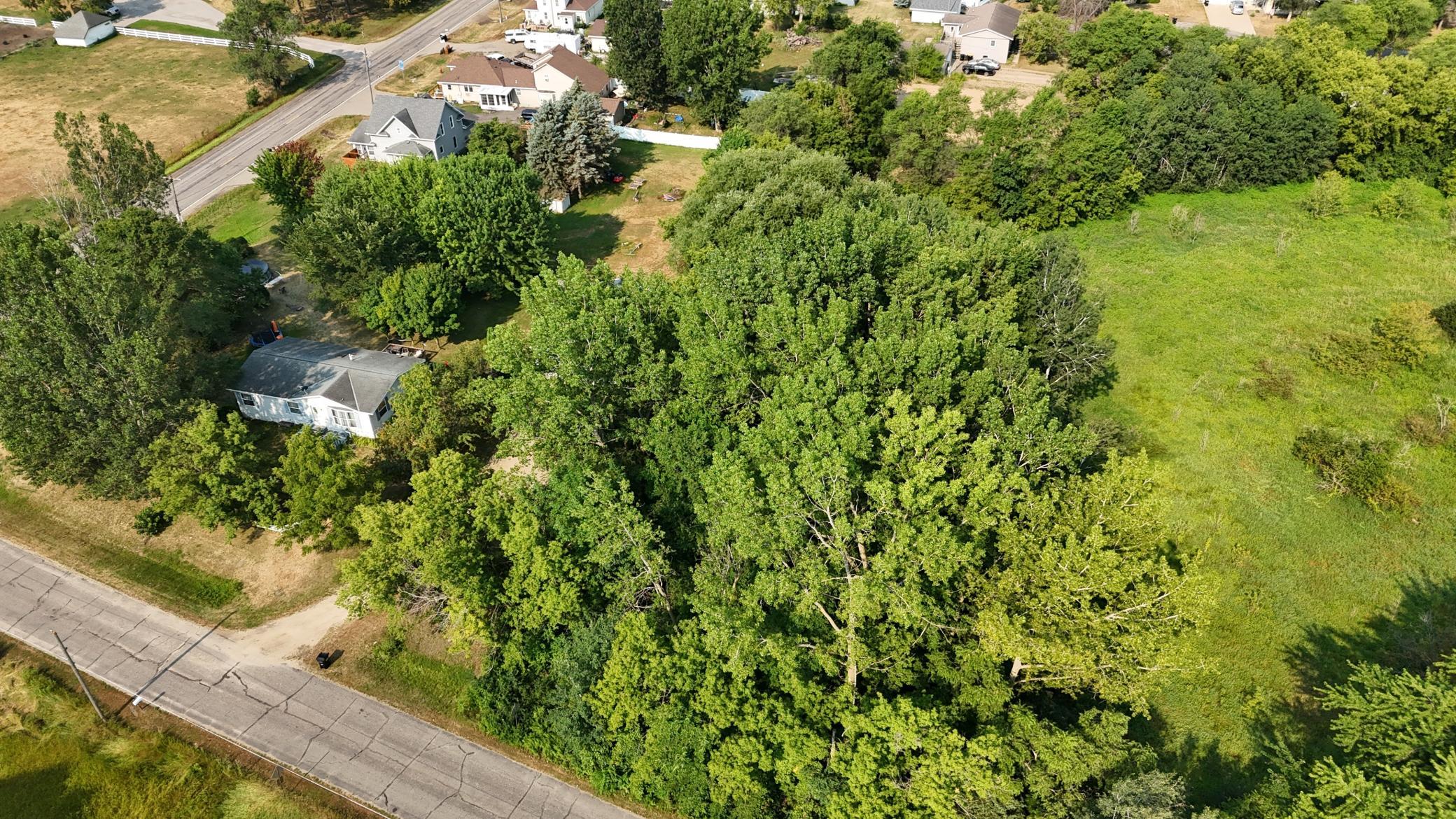DJI_20260729094912_0288_D.JPG