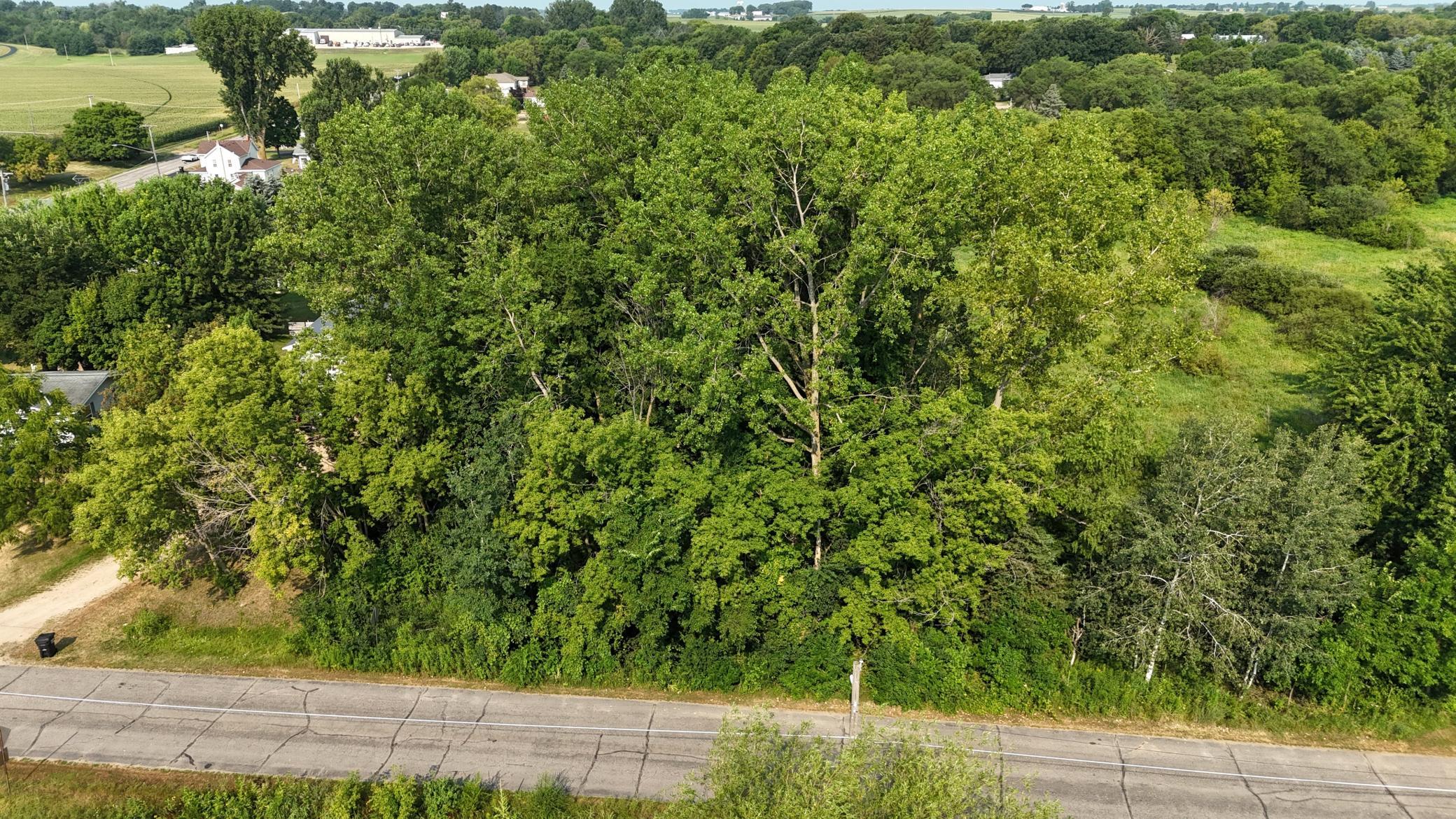 DJI_20260729095035_0292_D.JPG