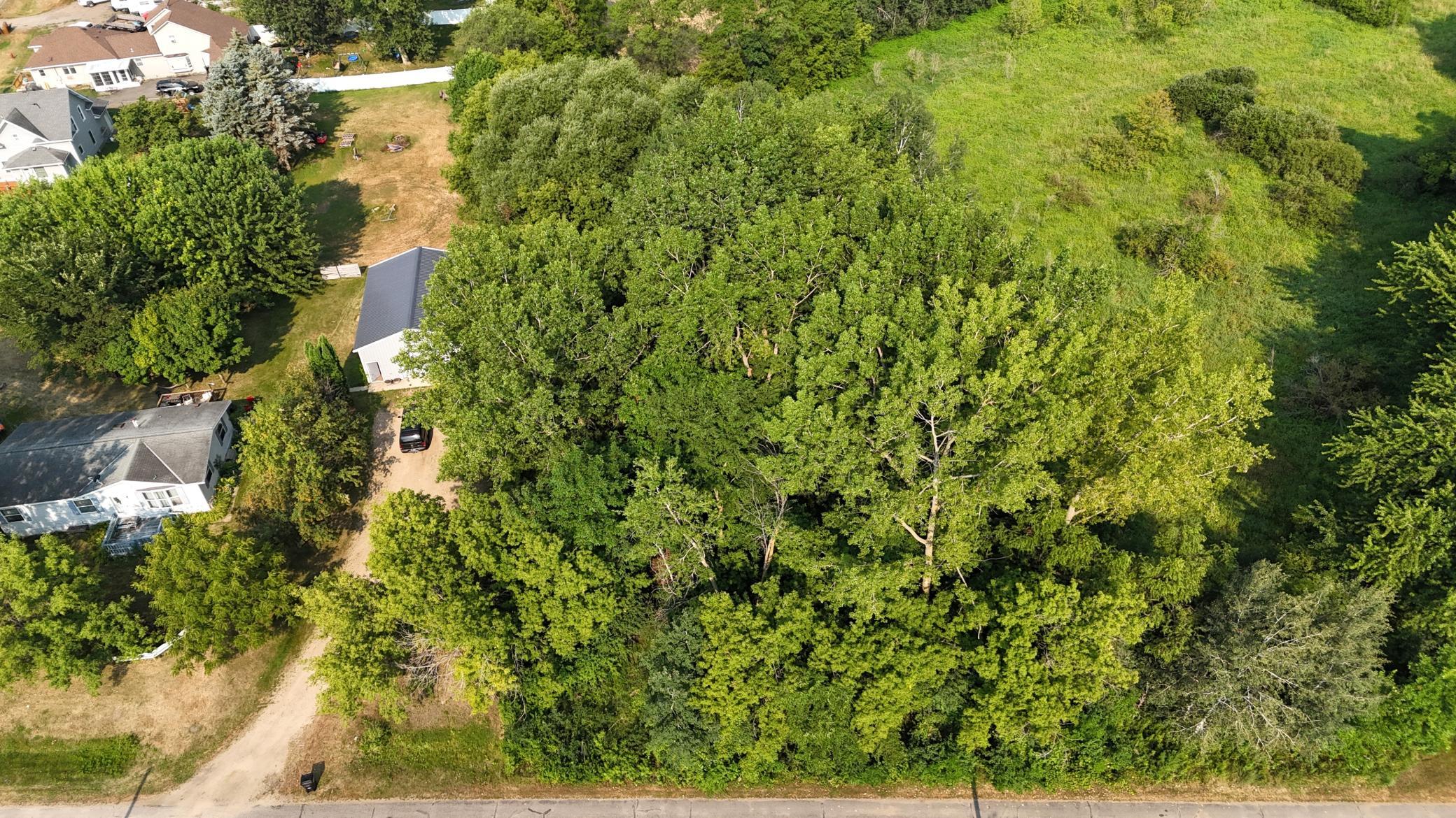 DJI_20260729094733_0281_D.JPG