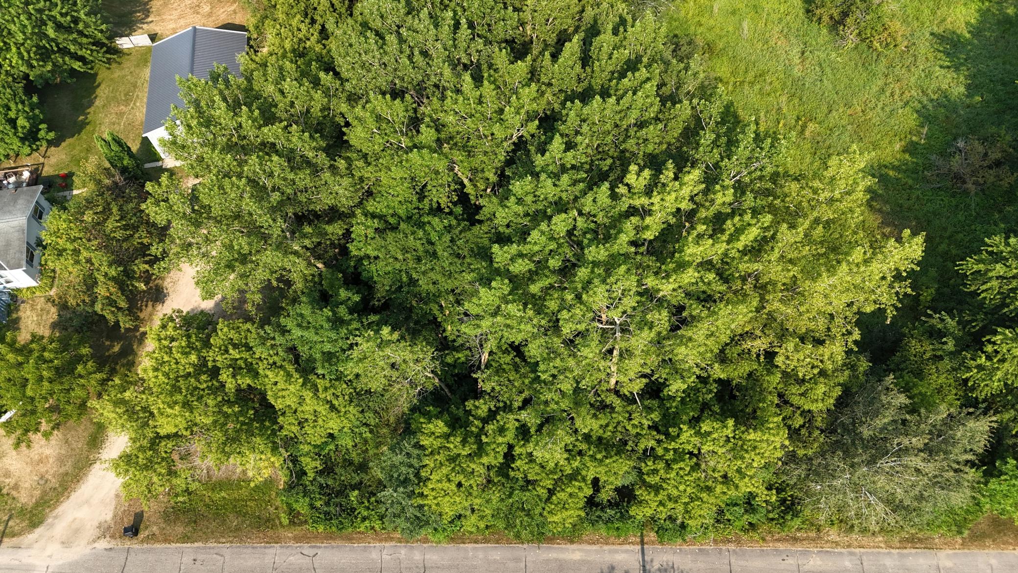 DJI_20260729094740_0282_D.JPG