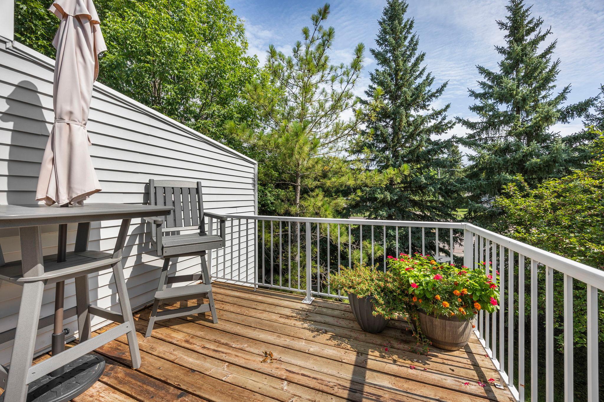 Mature trees and privacy fencing creating a peaceful outdoor setting.