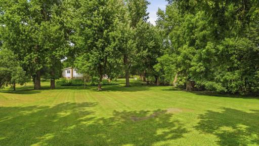 DJI_0903.jpg