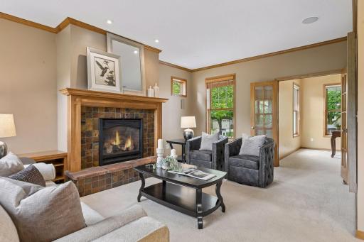 Gas fireplace