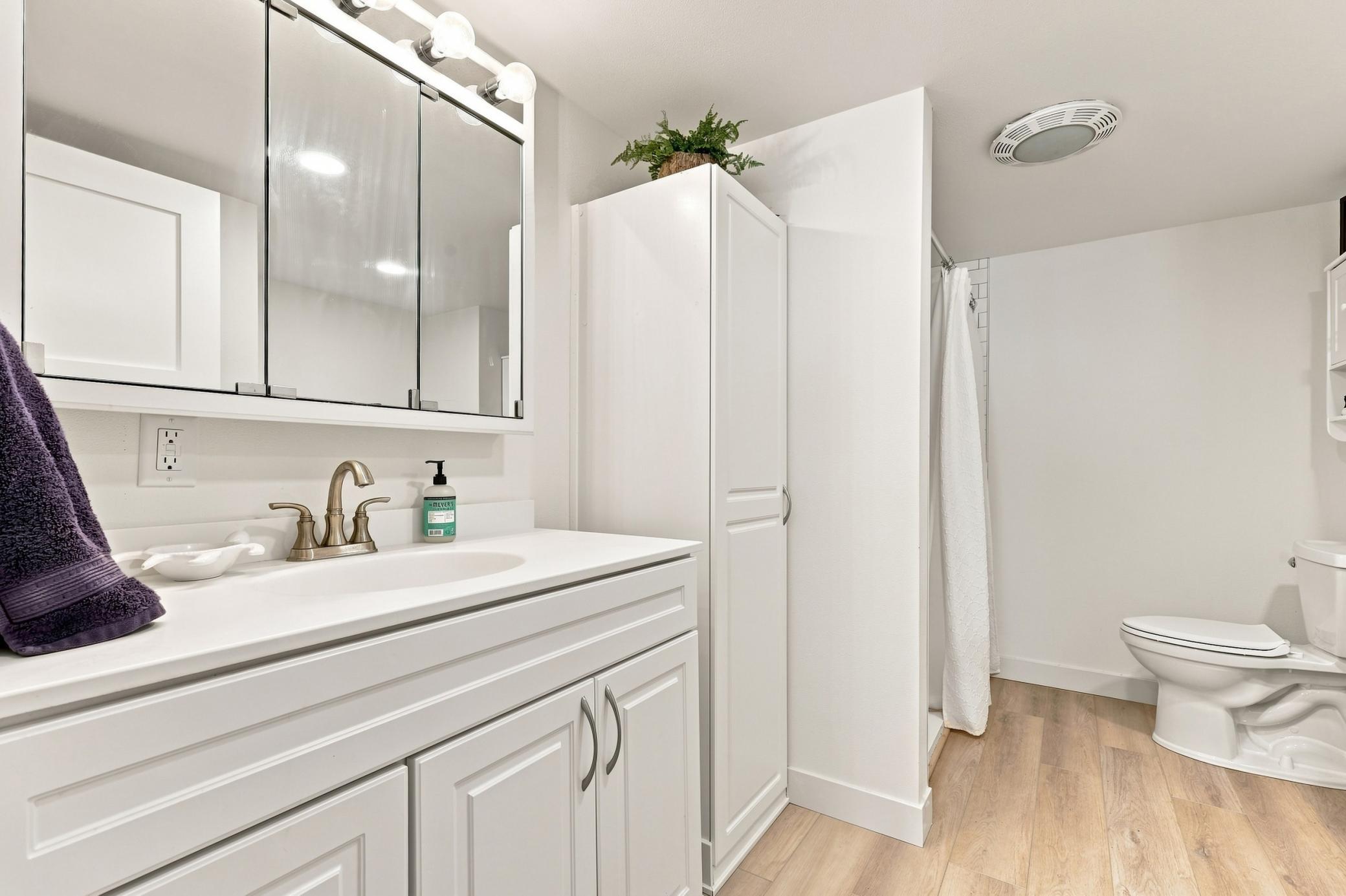 Main Floor Bath