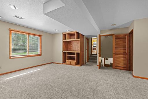 Custom built ins in family room