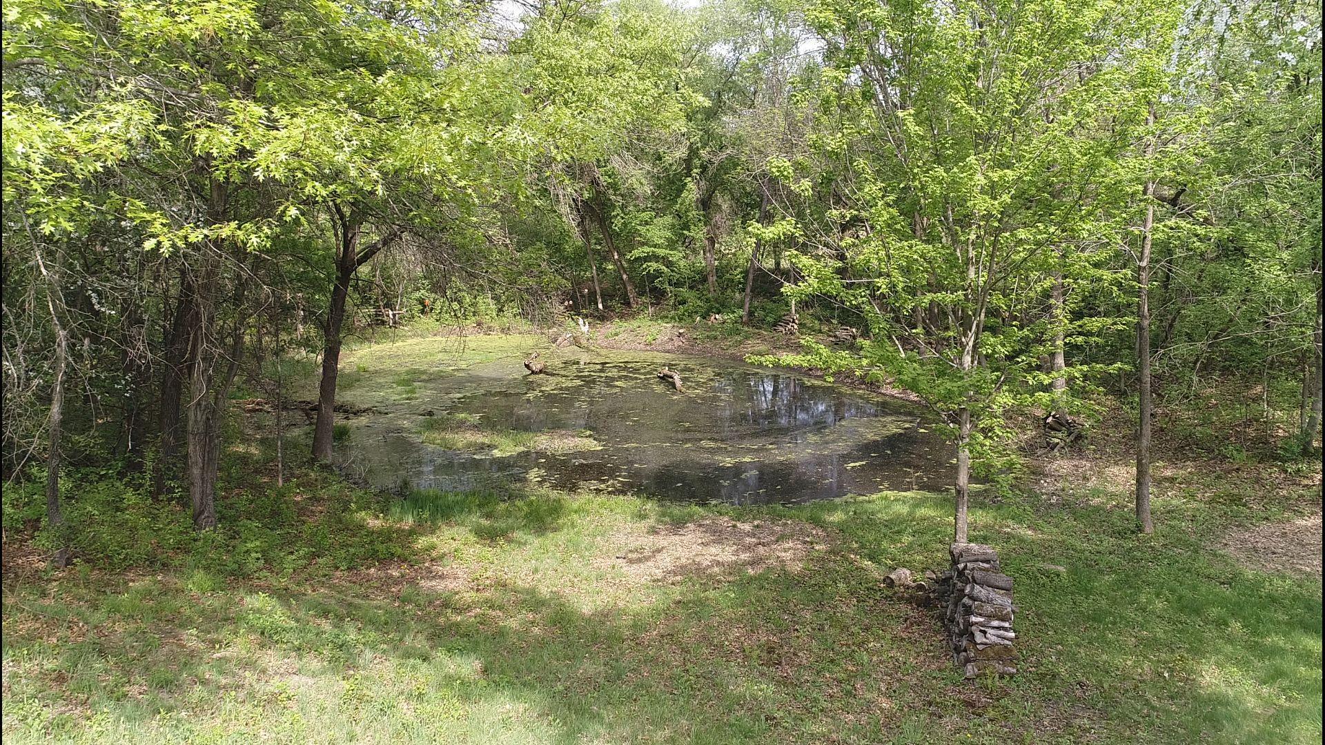 01 pond - Copy.jpg