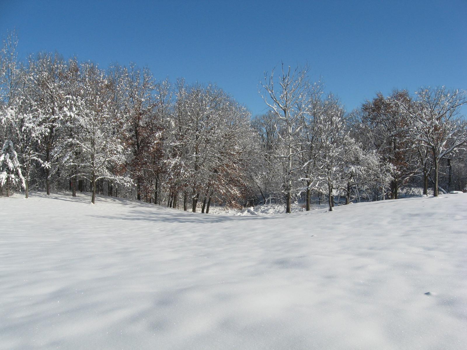IMG_0178 - Copy.JPG