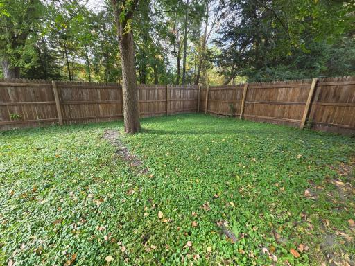 813 Ulstad Avenue, Albert Lea, MN 56007