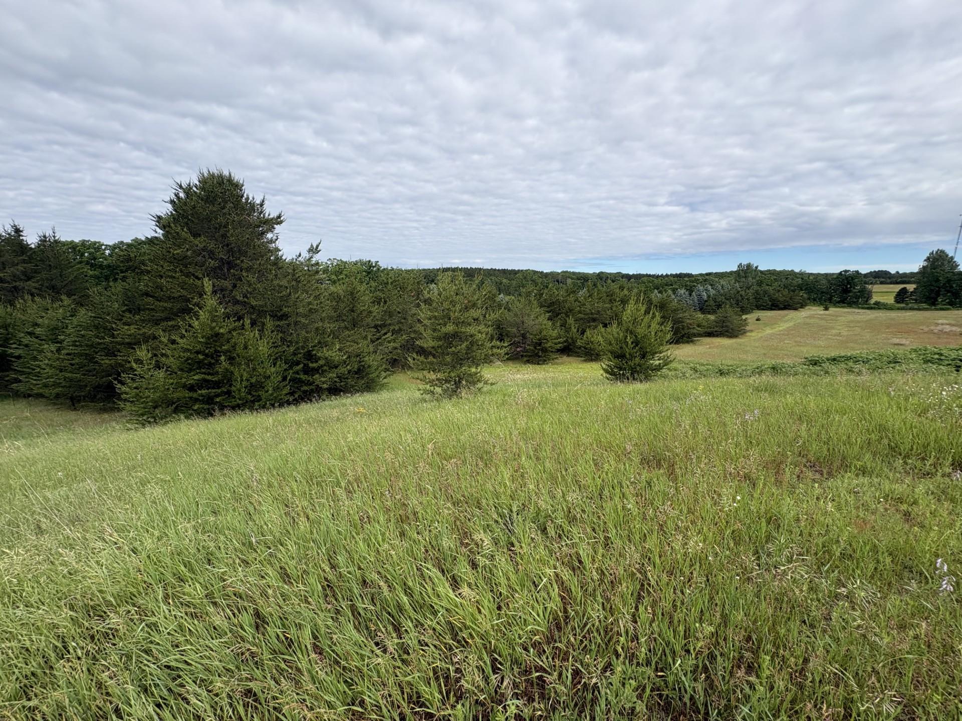 Meadow acreage.jpeg