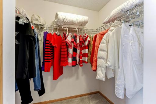 Master suite with walk in closet