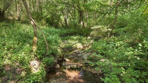 Creek