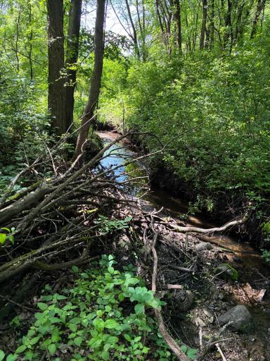 Creek
