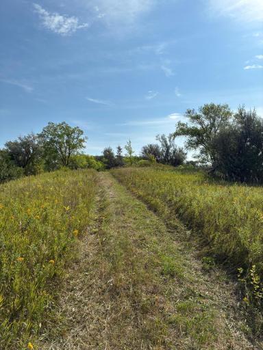 9591 260th Street S, Hawley, MN 56549