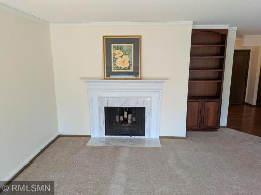 Living Room and Fireplace1010.jpg