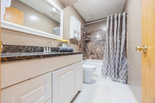Lower level bathroom