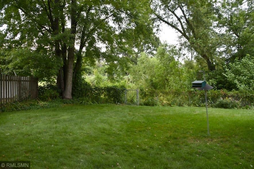 Backyard.JPG