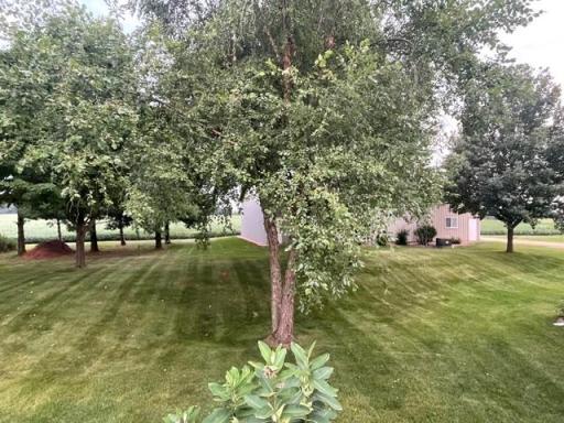 Nearly 5 acres of matured trees, and space to roam