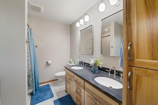 Freshly updated primary bath with onyx shower surround to ceiling, dual sinks and custom cabinetry, soaking tub with window above and linen cabinet