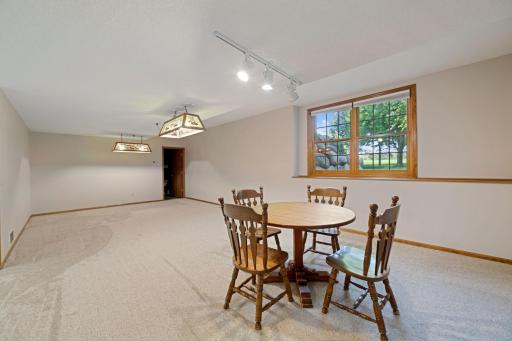 Just freshly carpeted throughout the lower level- July 2026. Lower level family room with spaces for pool table, foosball table, or gaming room. Multiple windows with views to backyard
