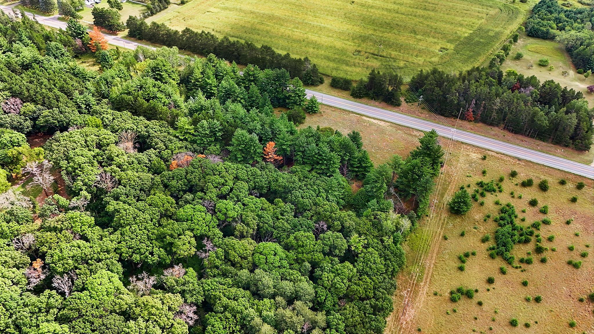 DJI_20260824111004_0385_D.jpg