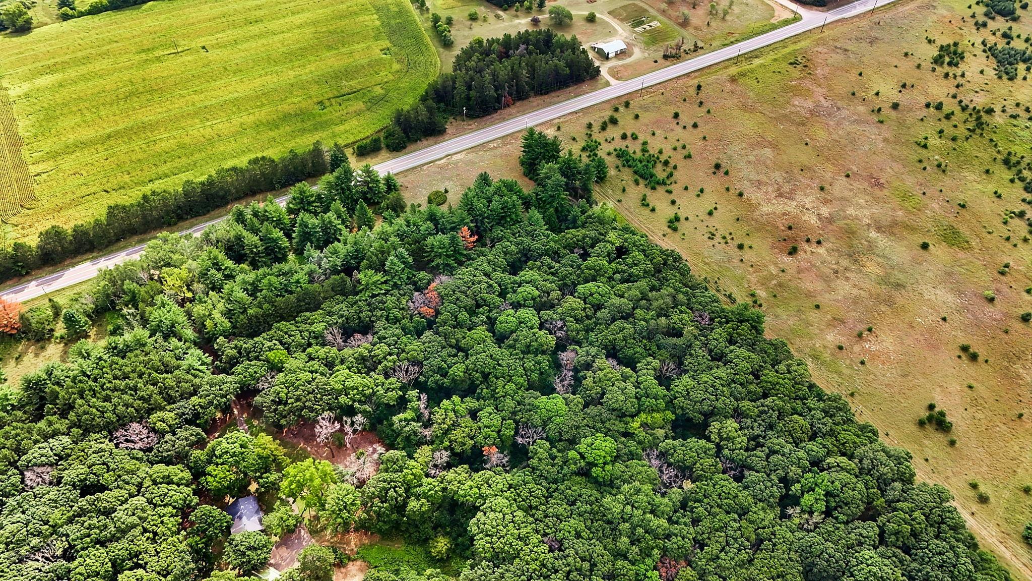 DJI_20260824110933_0383_D.jpg