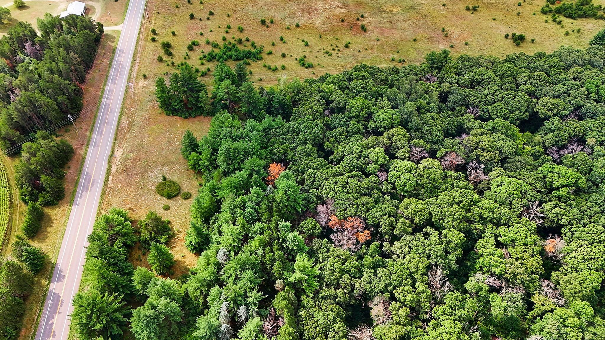 View from above