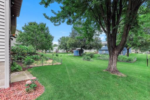 Large Yard Ready for Games and Get Togethers!