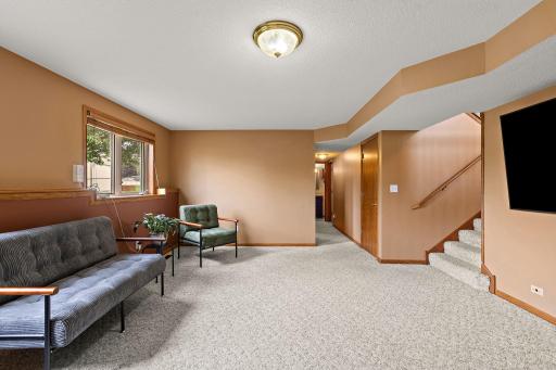 Lower Family Room