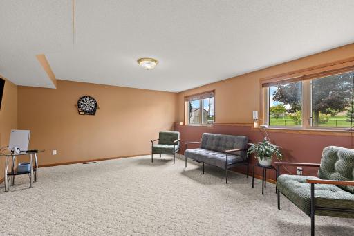 Lower Family Room
