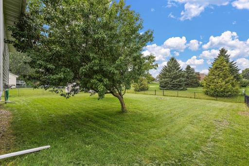 Fenced in Back Yard
