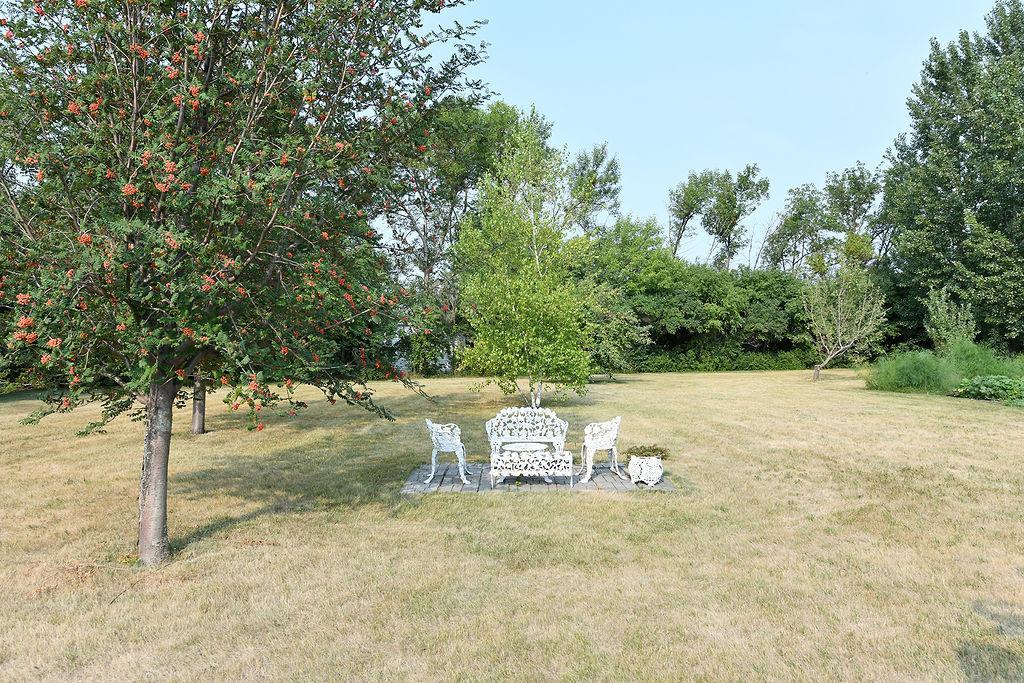 RSP_2499.JPG