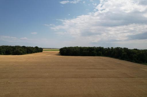 L12.JPG