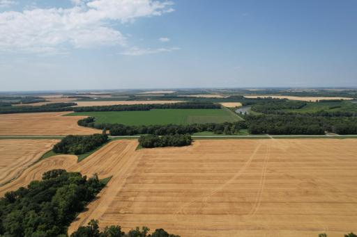 L11.JPG