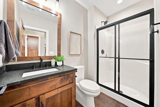 3/4 Bathroom (3) - Lower Level