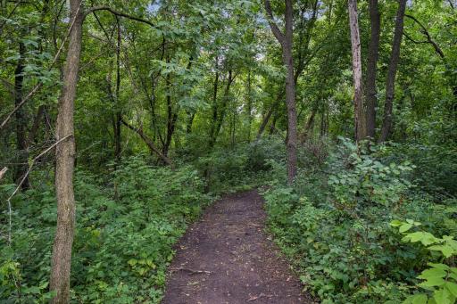 16425 Petersburg Street NE, Ham Lake, MN 55304