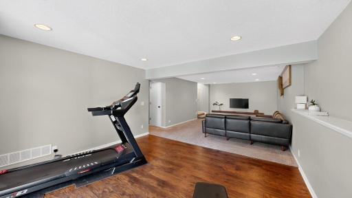 Bonus Area/Family Room