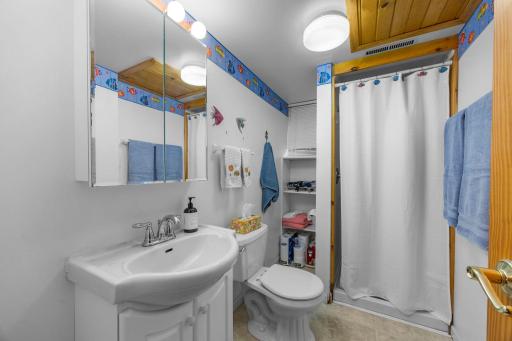 36-web-or-mls-69A 16 5-8 Ave-54.jpg