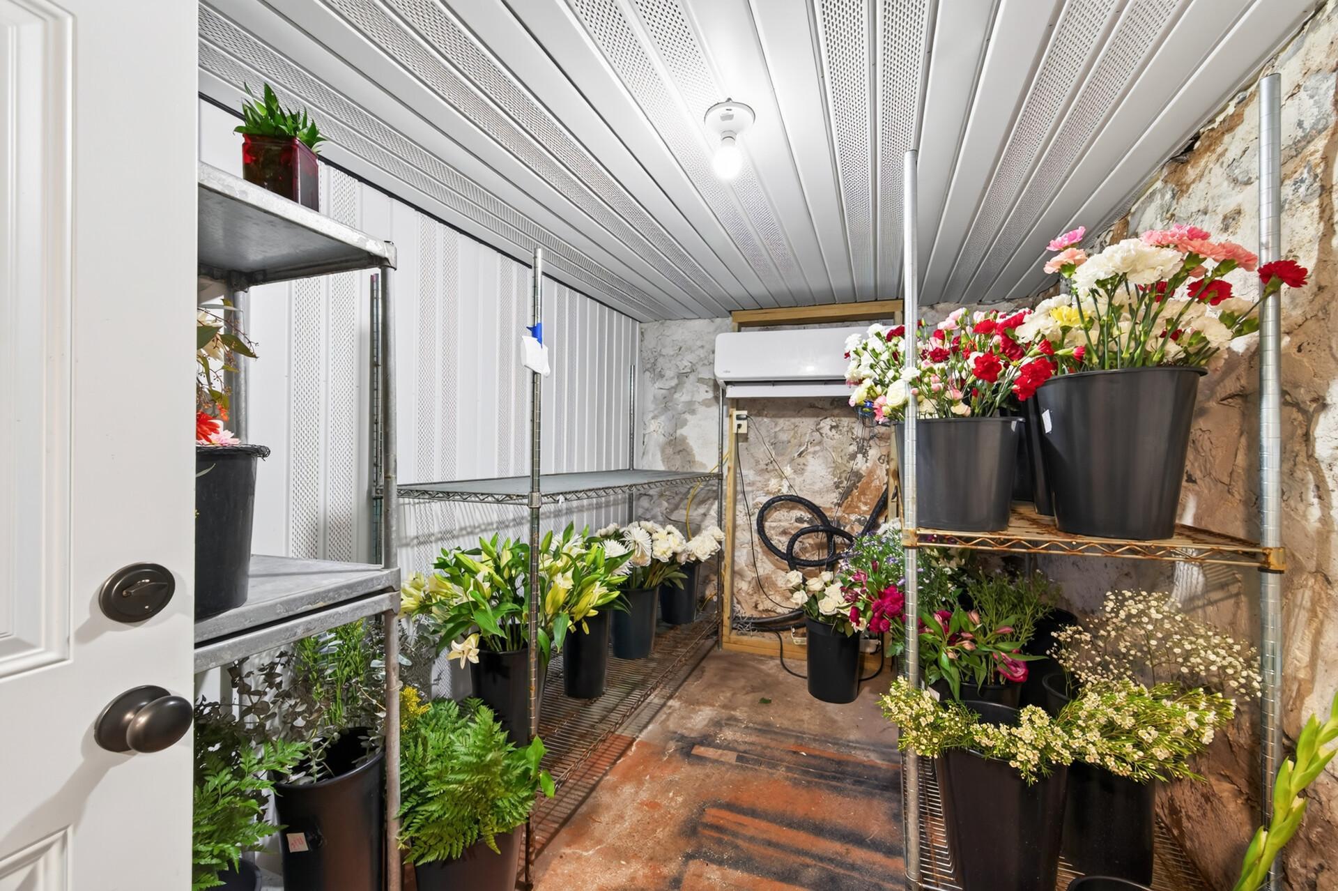 Basement Cooler