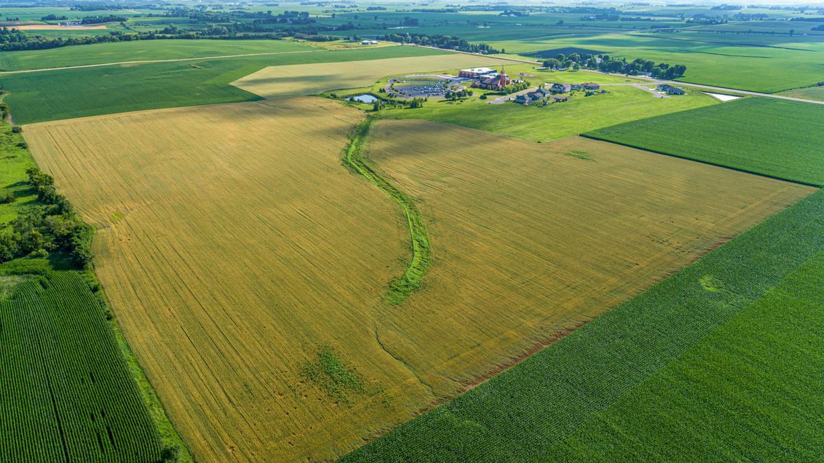 Aerial 5.jpg