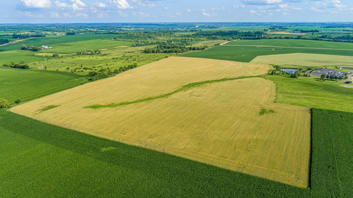 Aerial 6.jpg