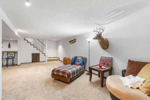 3951 Stacker Place, Saint Paul, MN 55110